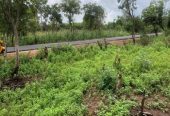 Plots of Land Beside the Road