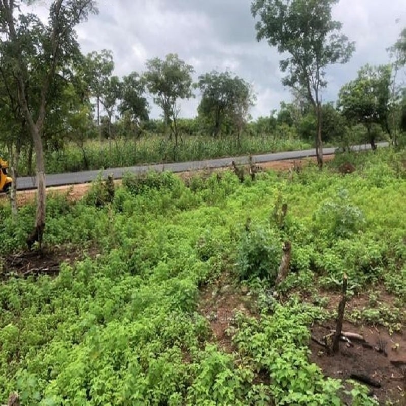 Plots of Land Beside the Road