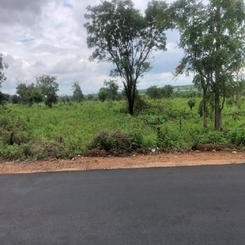 Plots of Land Beside the Road