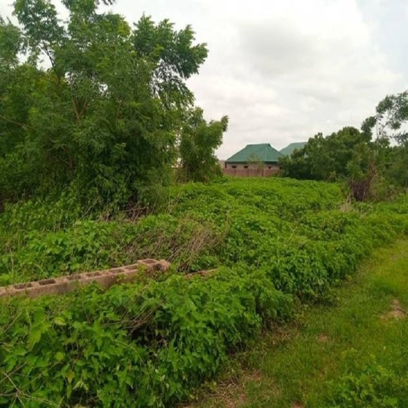 A Plot of Land at Ojutaye