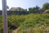 Full Plot of Dry Fenced Land