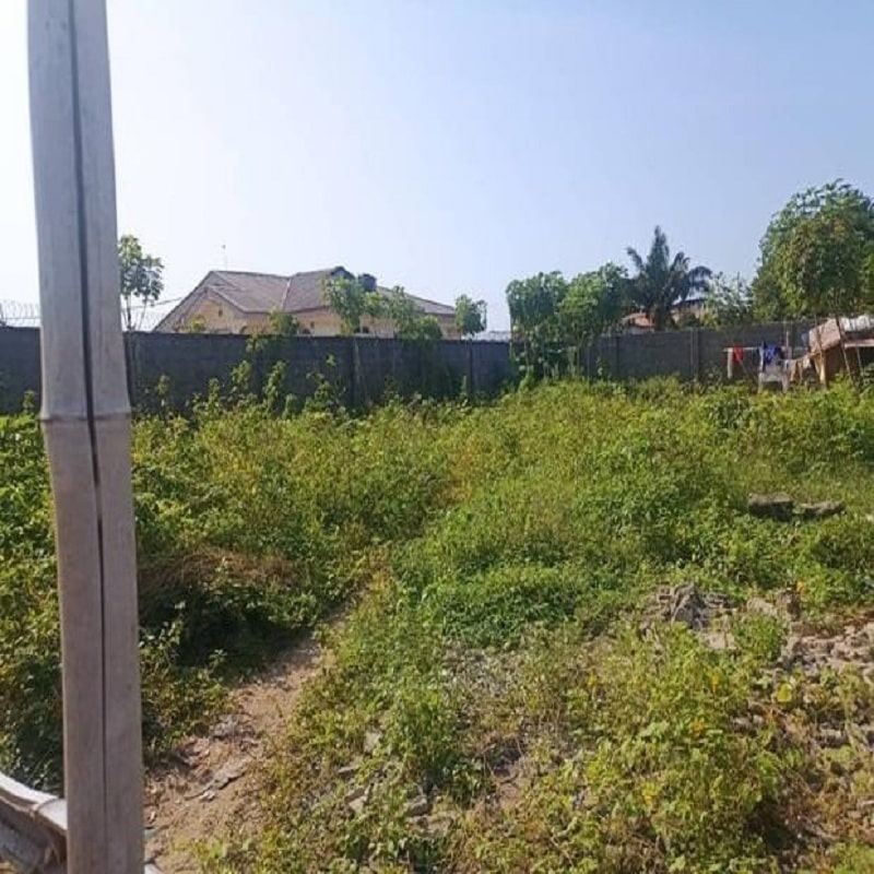 Full Plot of Dry Fenced Land