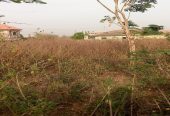 One Standard Plot of Land for Sale