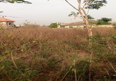 One_Standard_Plot_of_Land_for_Sale_at_Adewole_1_2-transformed