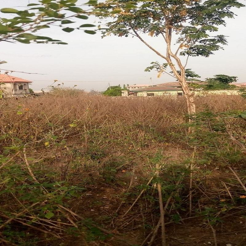 One Standard Plot of Land for Sale
