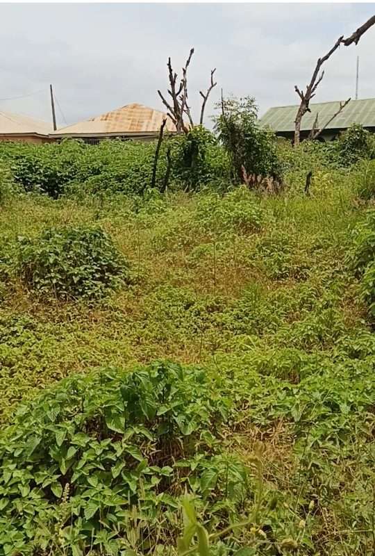 Two Plots of land for sale in ilorin