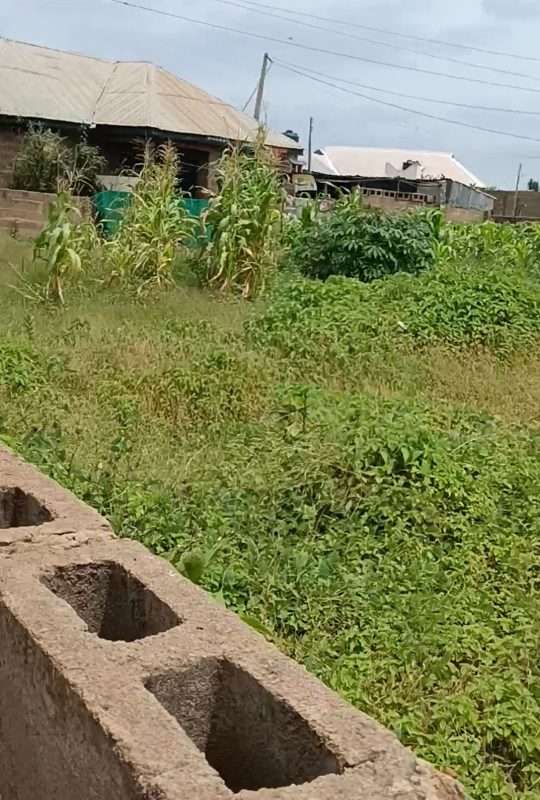 Two Plots of land for sale in ilorin