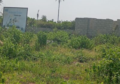 1FDE4180-A6C3-48F5-BD1A-753213E90F1B